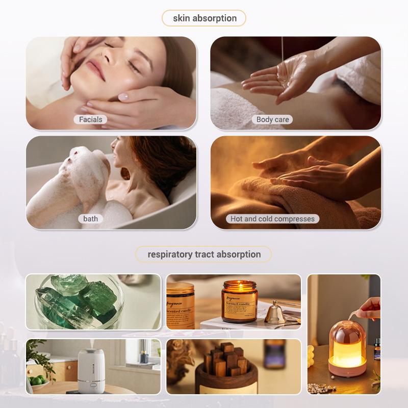 Huiles parfumées 10ml, boîte-c - Soap Making Book avis et prix