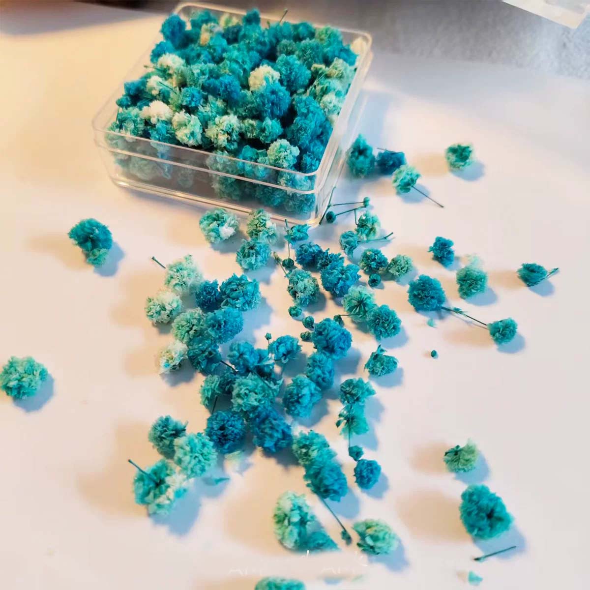 1 Boîte de Têtes de Fleurs pou - Soap Making Book avis et prix